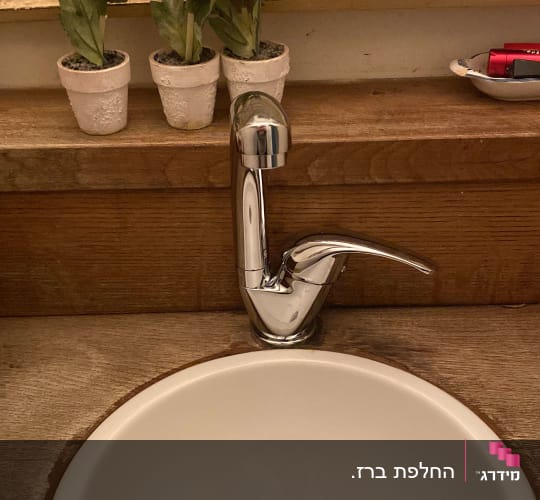 ברז וכיור בחדר אמבטיה עם עציצים קטנים על המדף